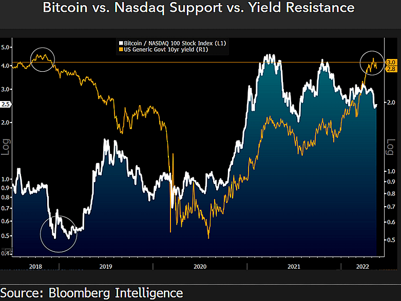 bitcoin vs nasdaq