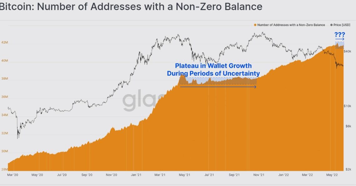 On-chain data shows Bitcoin long-term holders continuing to ‘soak up supply’ around $30K