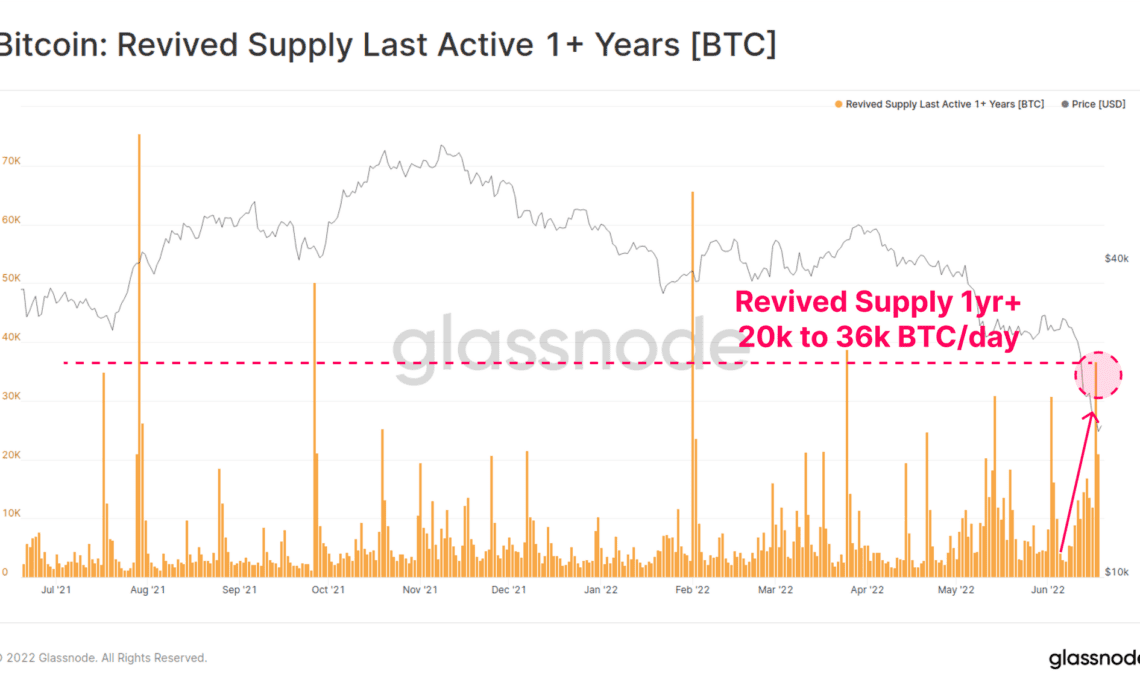 Bitcoin Revived Supply Last Active 1+ Year