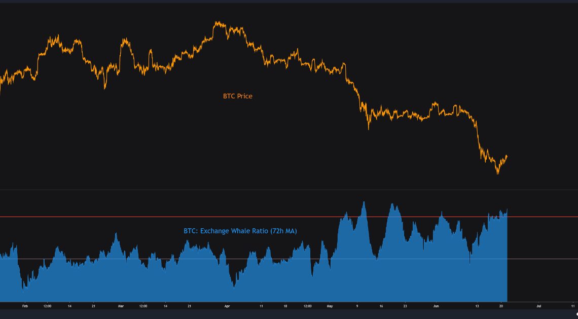 Bitcoin Exchange Whale Ratio