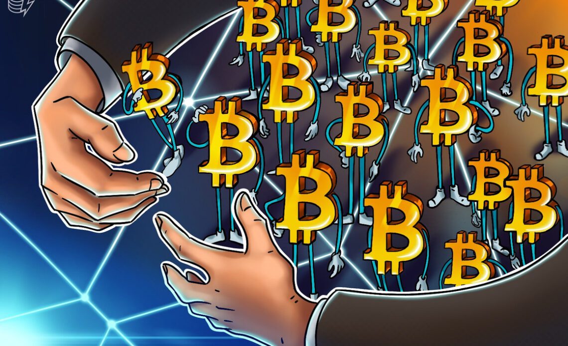 'Can't stop, won't stop' — Bitcoin hodlers buy the dip at $20K BTC