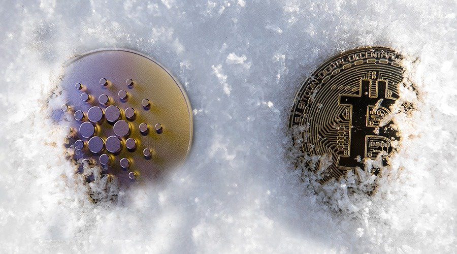 Cardano and the Crypto Winter 2.0: Is It Just Starting?