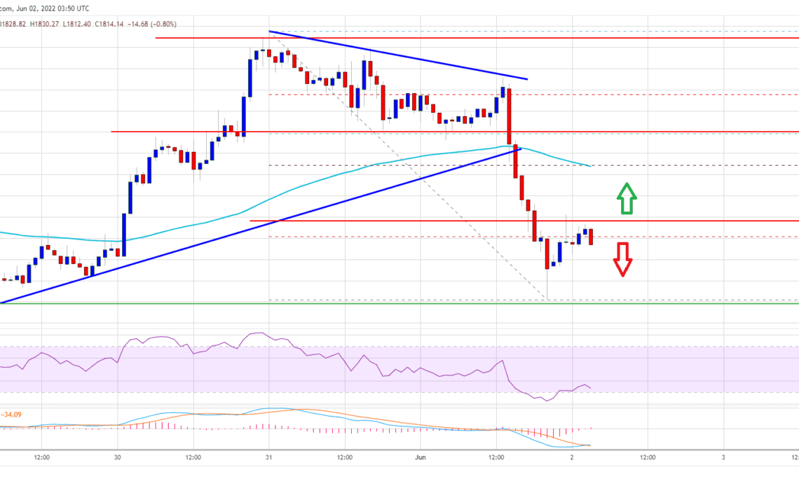 Ethereum Price