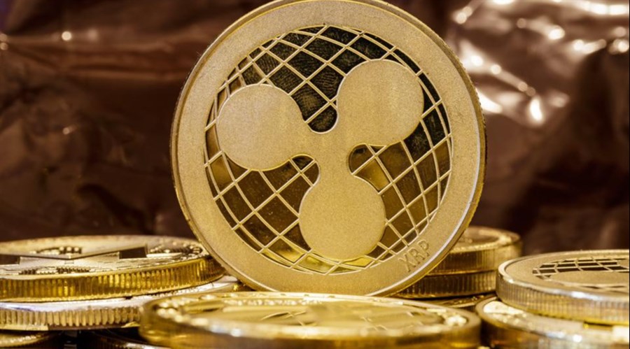 Institutional Investors Increase XRP and ADA Holdings, Dump Ethereum