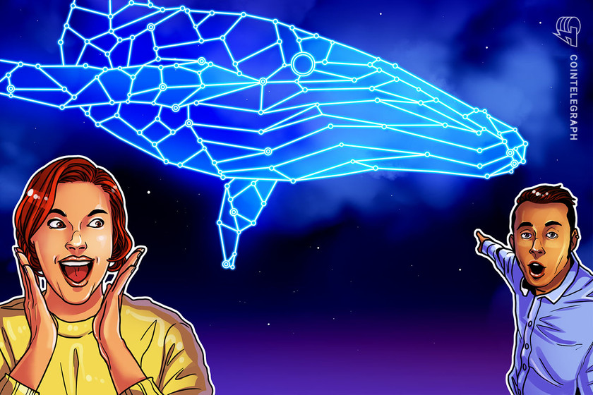 What decentralization? Solend approves whale wallet takeover to avoid DeFi implosion