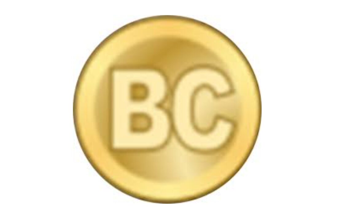 Who designed the Bitcoin logo?