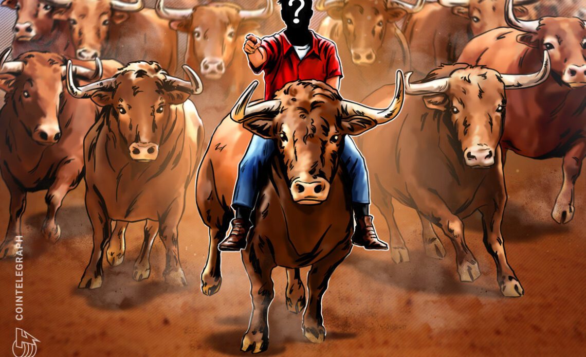 Who will drive the next crypto bull run?