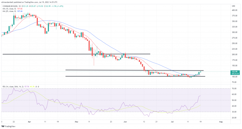 Biggest Movers: SHIB Remains Close to 2-Month High, as BCH Extends Recent Gains