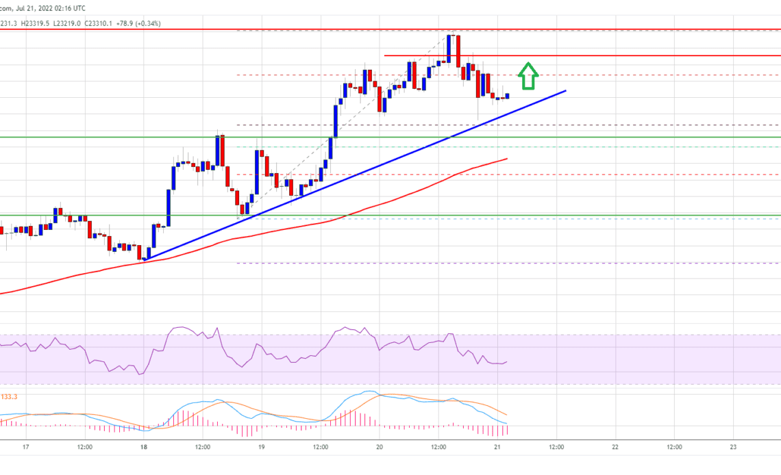 Bitcoin Price