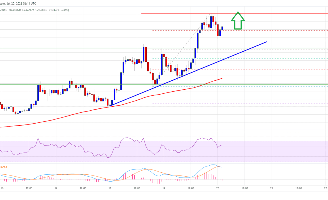 Bitcoin Price