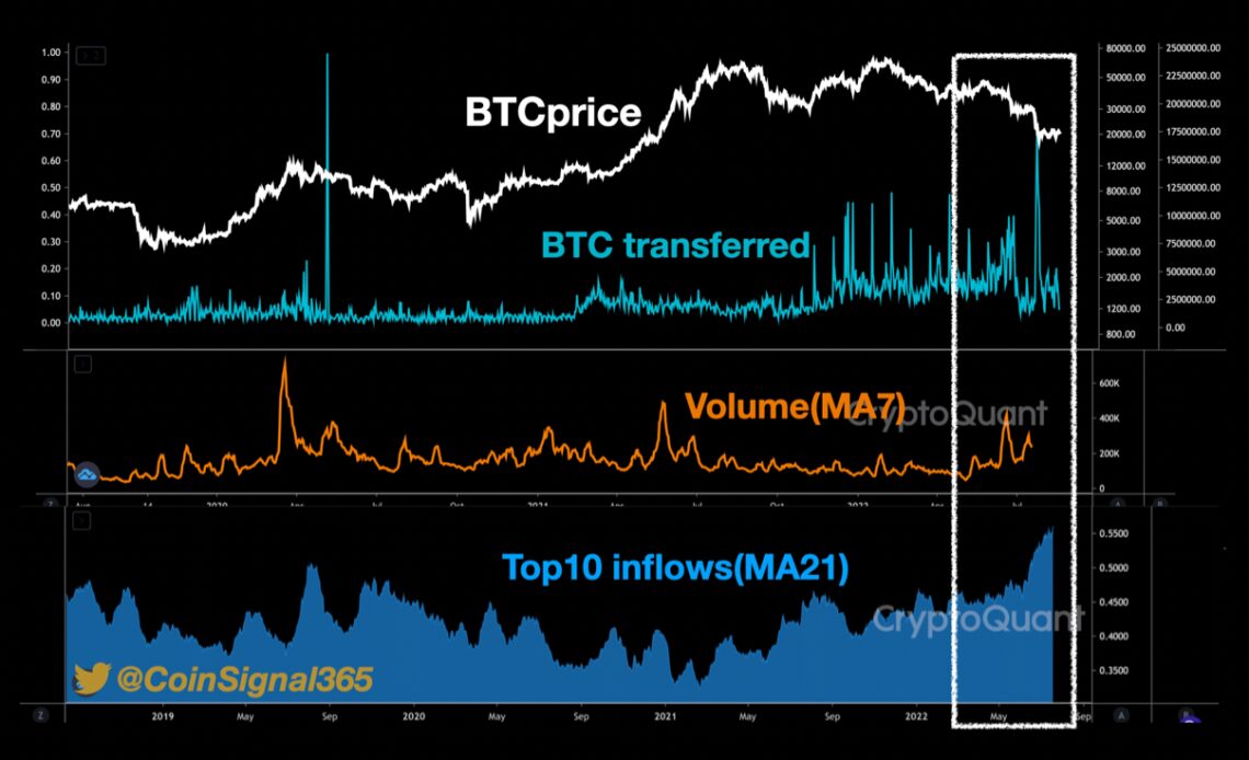 Bitcoin Top Ten Inflows