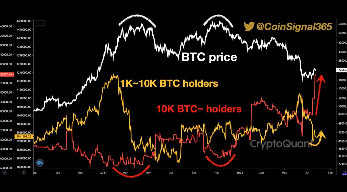 Bitcoin Whales With 10k BTC