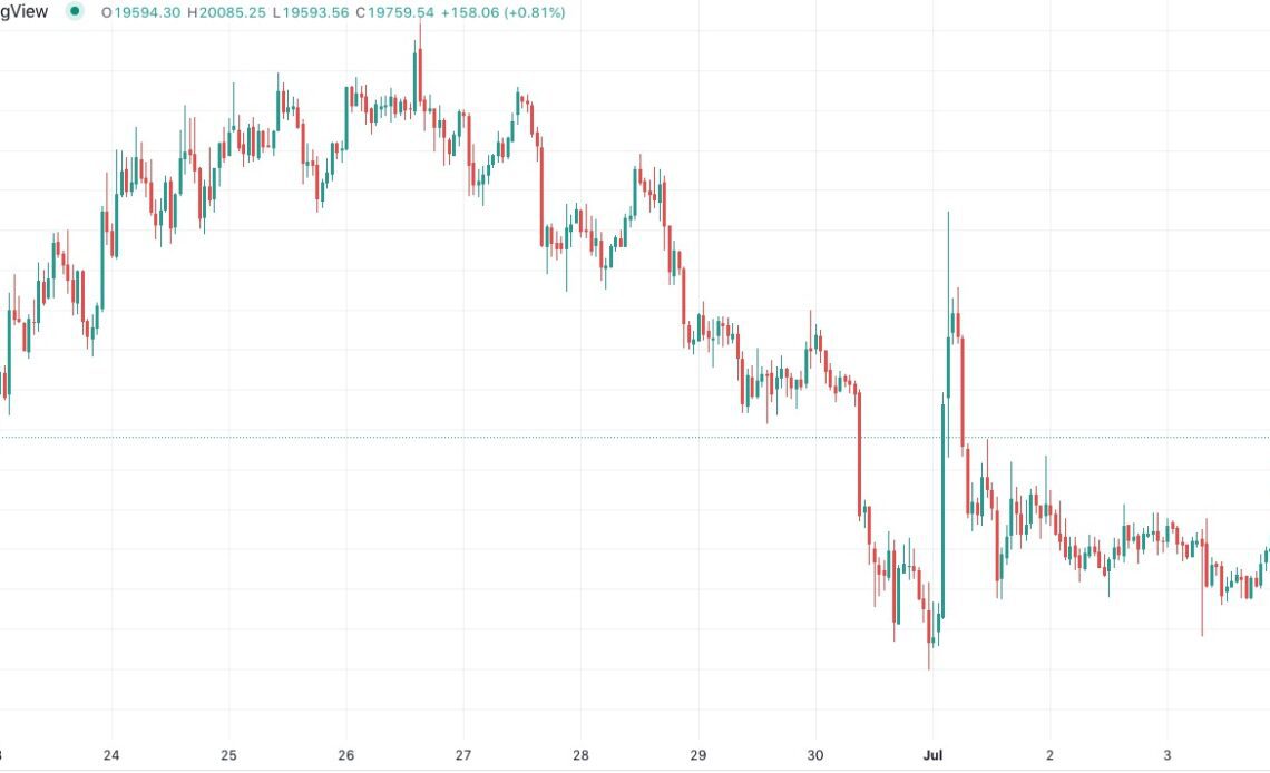 Bitcoin price spikes to $20K as whale bought BTC confirms support