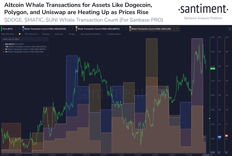 Dogecoin Emerges A Top Gainer Despite Musk Vs. Twitter Legal Tussle