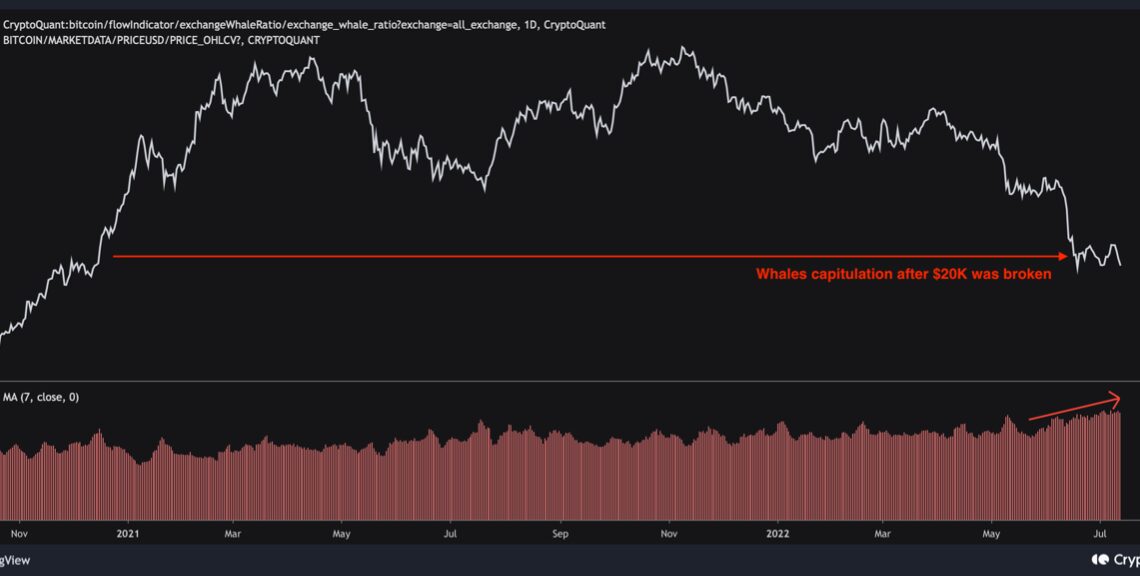 Bitcoin Exchange Whale Ratio