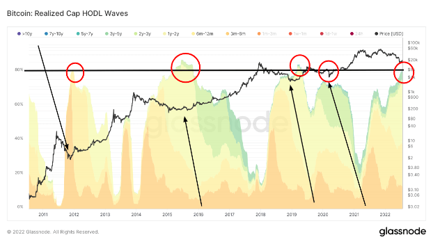 Long-term holders hold 80% of all Bitcoins