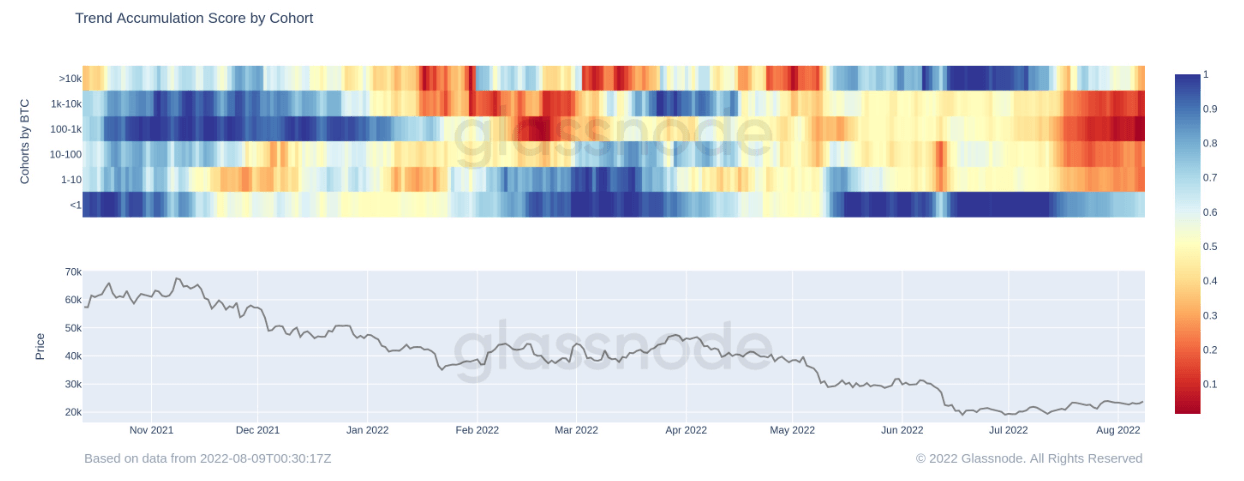 whales shrimp accumulation trend score bitcoin