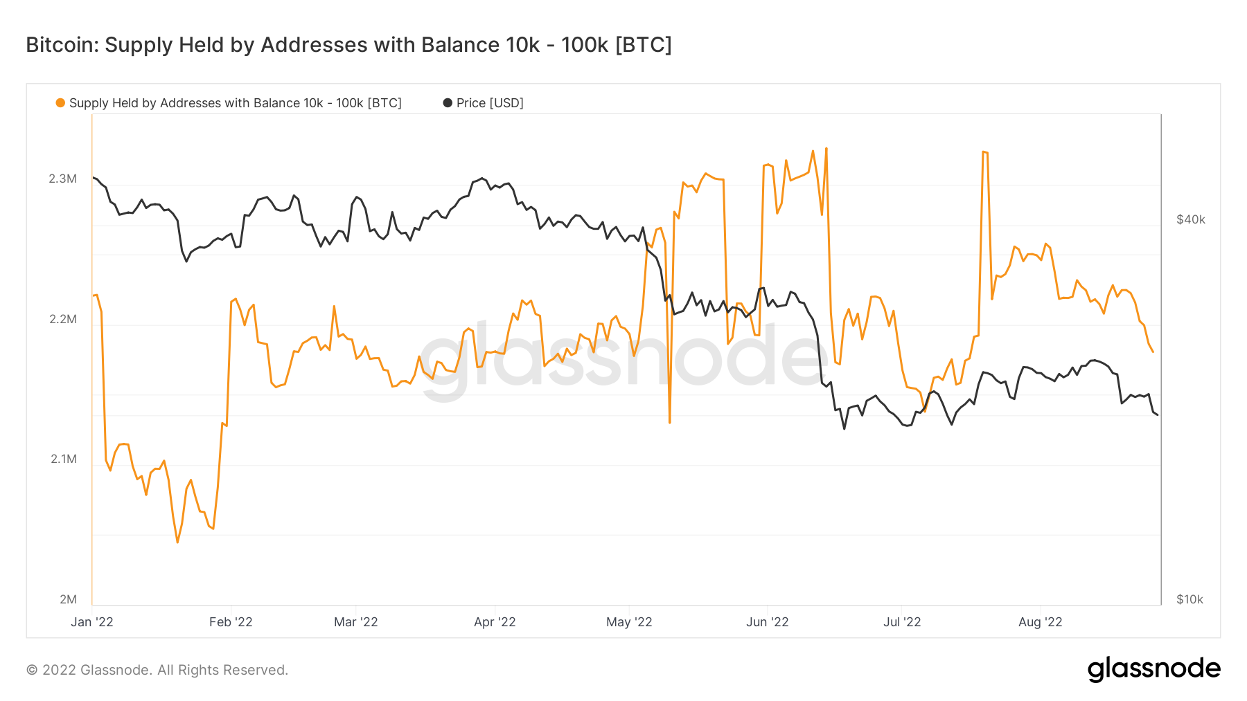 Shrimps Bitcoin accumulation slows