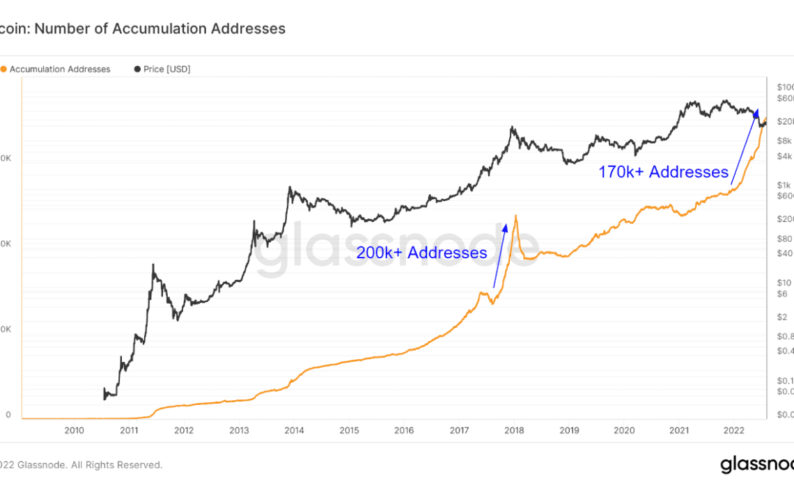 Accumulation addresses are an omen of a bull run