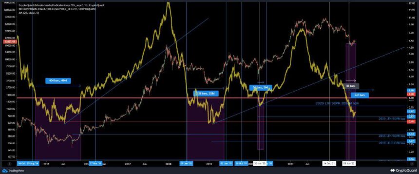 Analysts Predicts Bitcoin Will Plunge Shortly But Suggest Buy Bitcoin