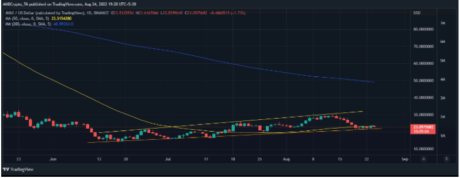 Avalanche (AVAX) Tries Comeback, Unfazed By $2-B Market Cap Loss In Last 2 Weeks