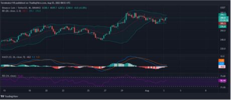 Binance Coin Finds Support At $240 – Can BNB Barrel Past $300?