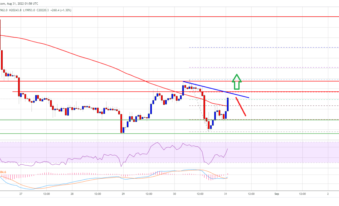 Bitcoin Price