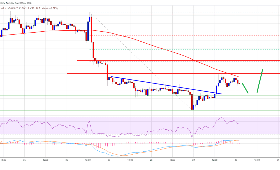 Bitcoin Price