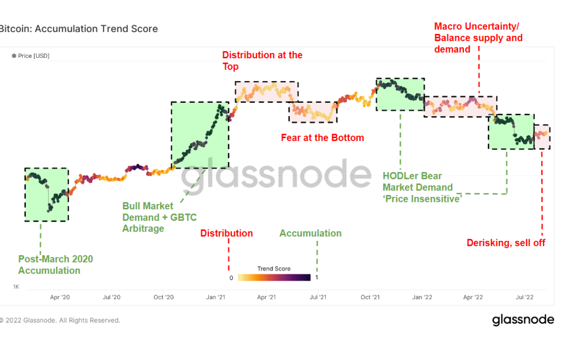 bitcoin accumulation trend score