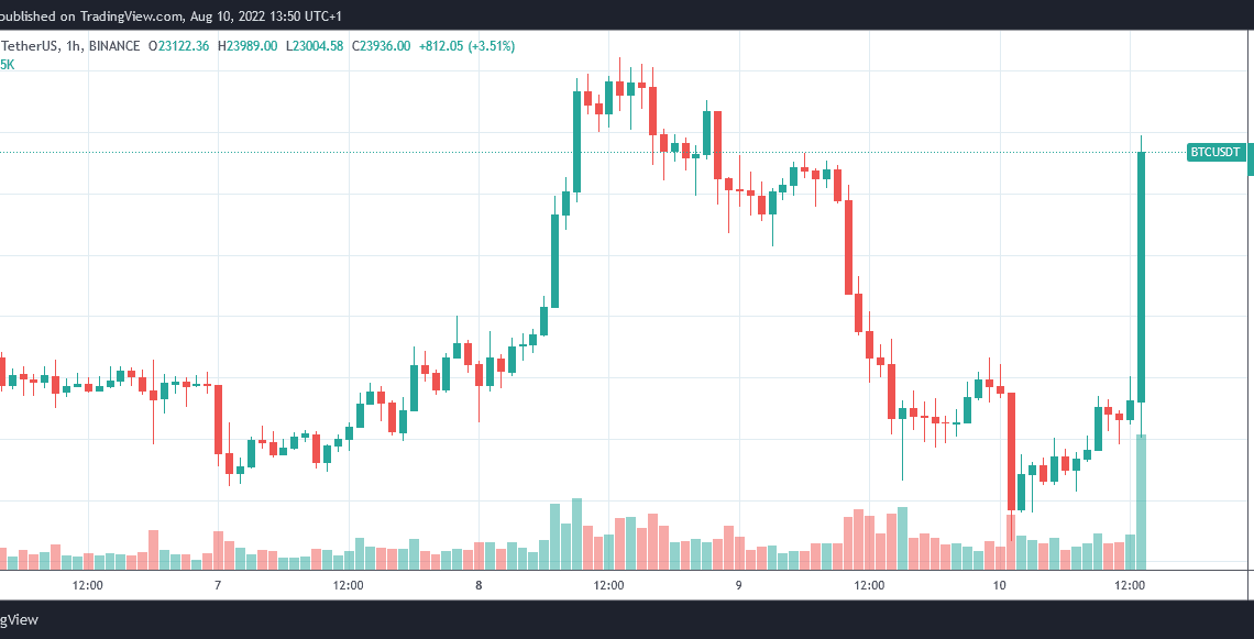 Bitcoin spikes to $24,000 as CPI inflation remains unchanged at 8.5%