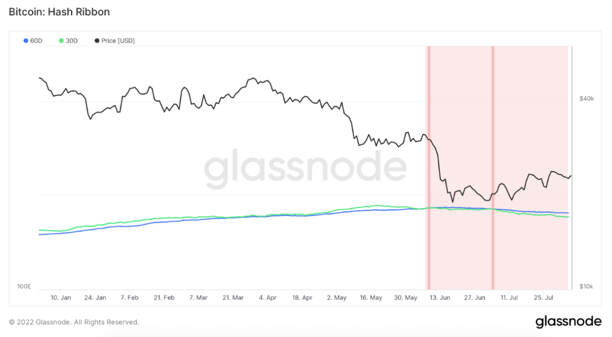 btc hash ribbon