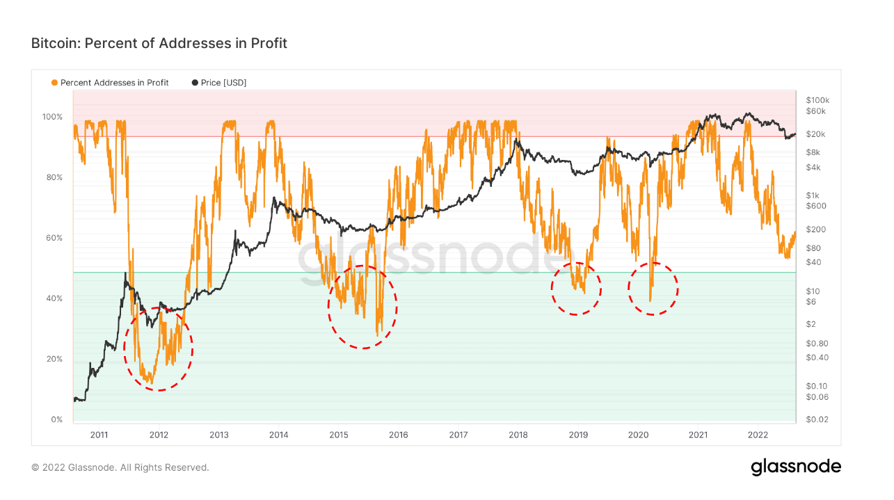 Bitcoin percentage of addresses in profit