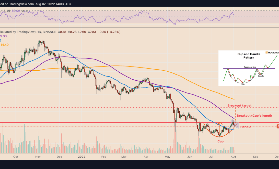 Polkadot 'cup and handle' setup sees DOT price 50% higher by September