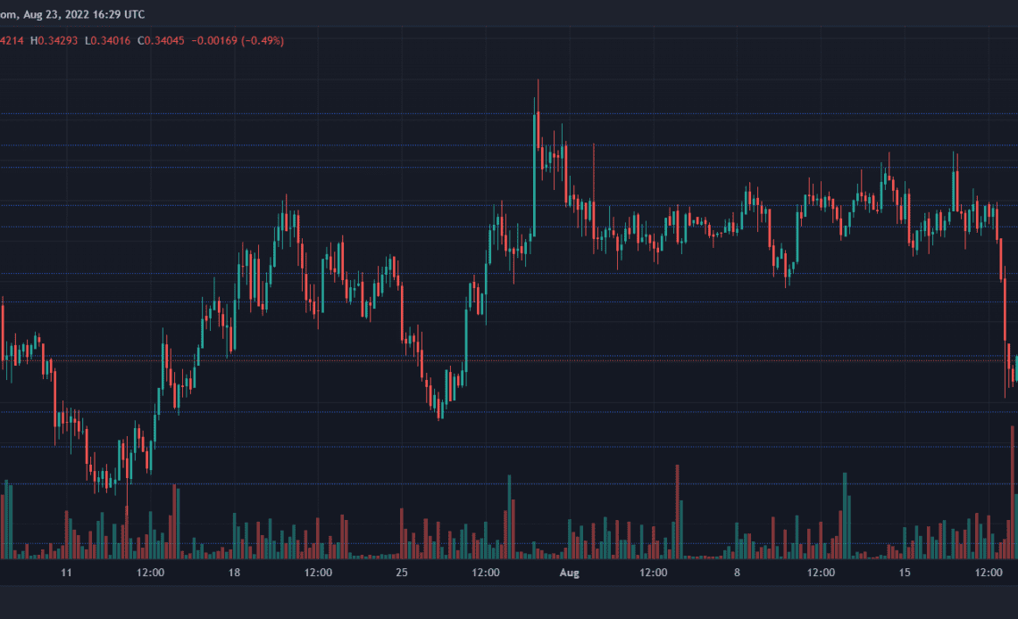 XRP Price