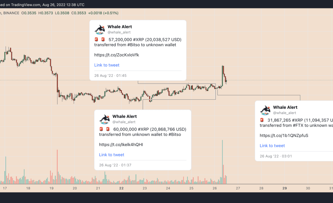 XRP price pumps and dumps amid mysterious $51M whale transfers — what's next?