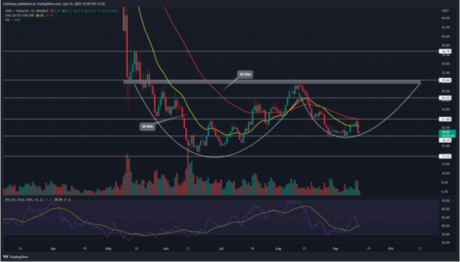 AVAX Price Rebound Fails To Breach $22 Resistance Due To High CPI Data