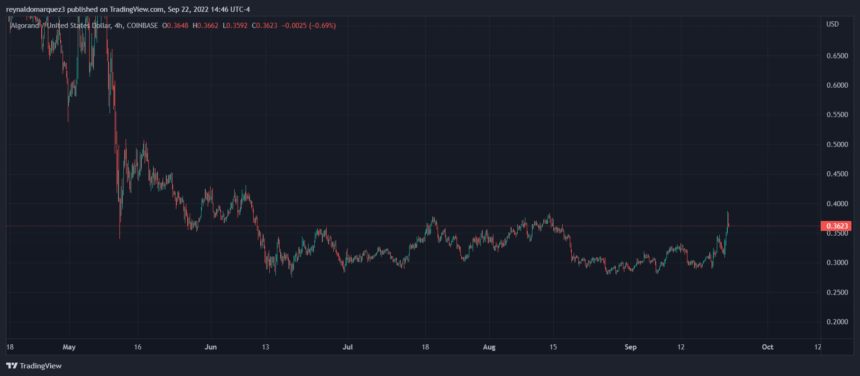 Algorand price ALGO ALGOUSDT