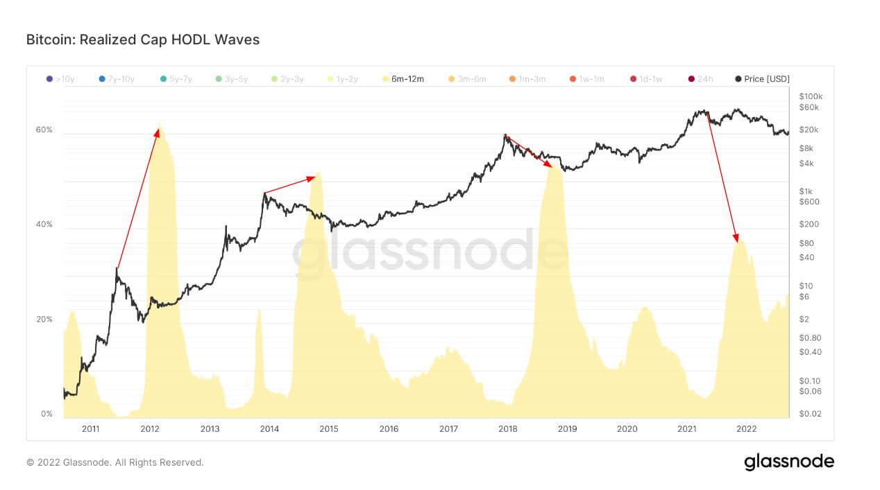 Bitcoin HODL waves