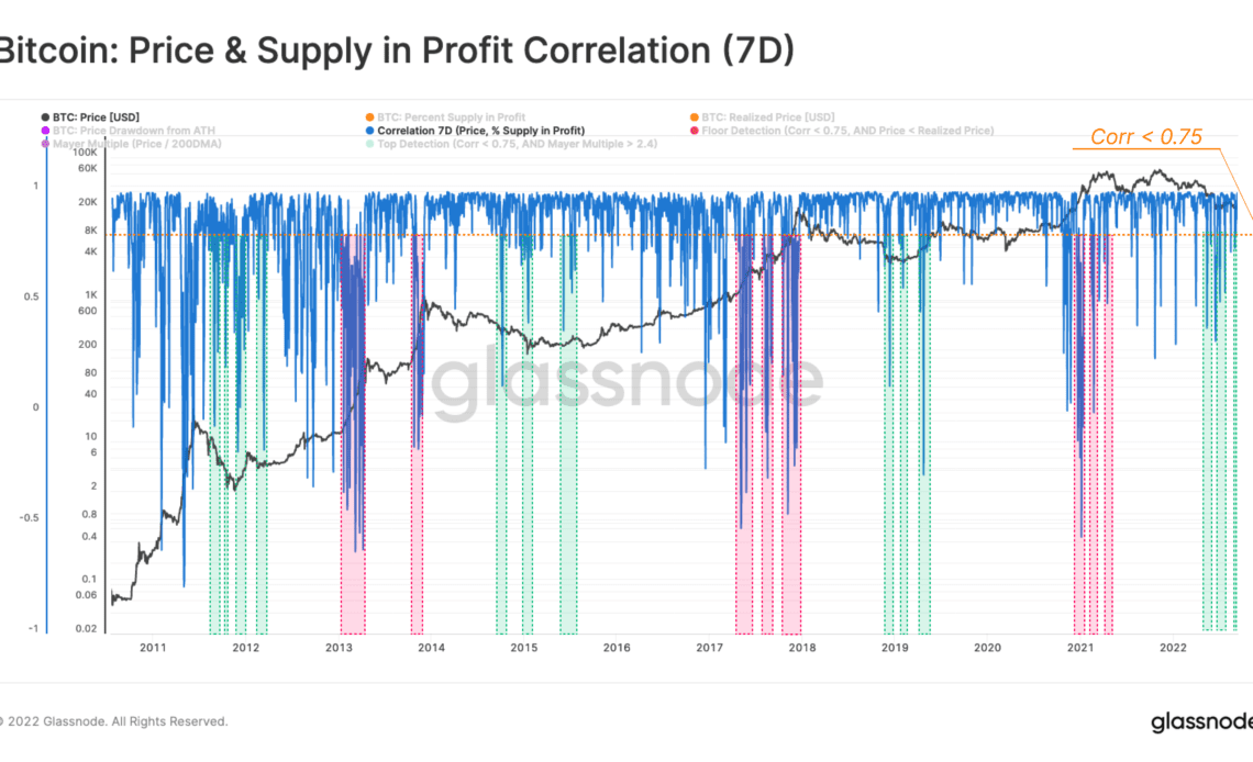 Bitcoin Price And Supply In Profit Correlation