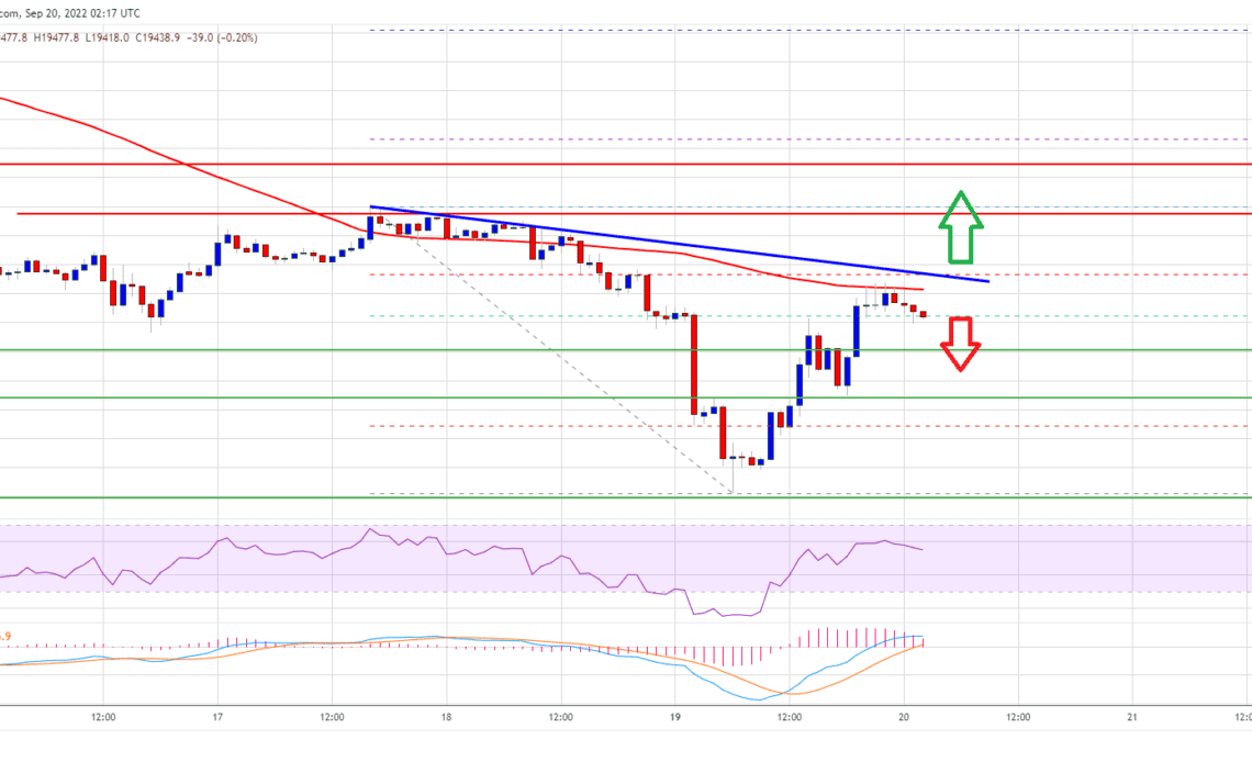 Bitcoin Price