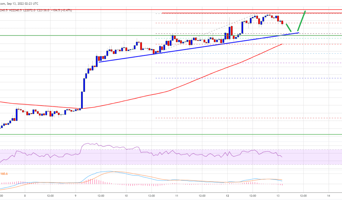 Bitcoin Price