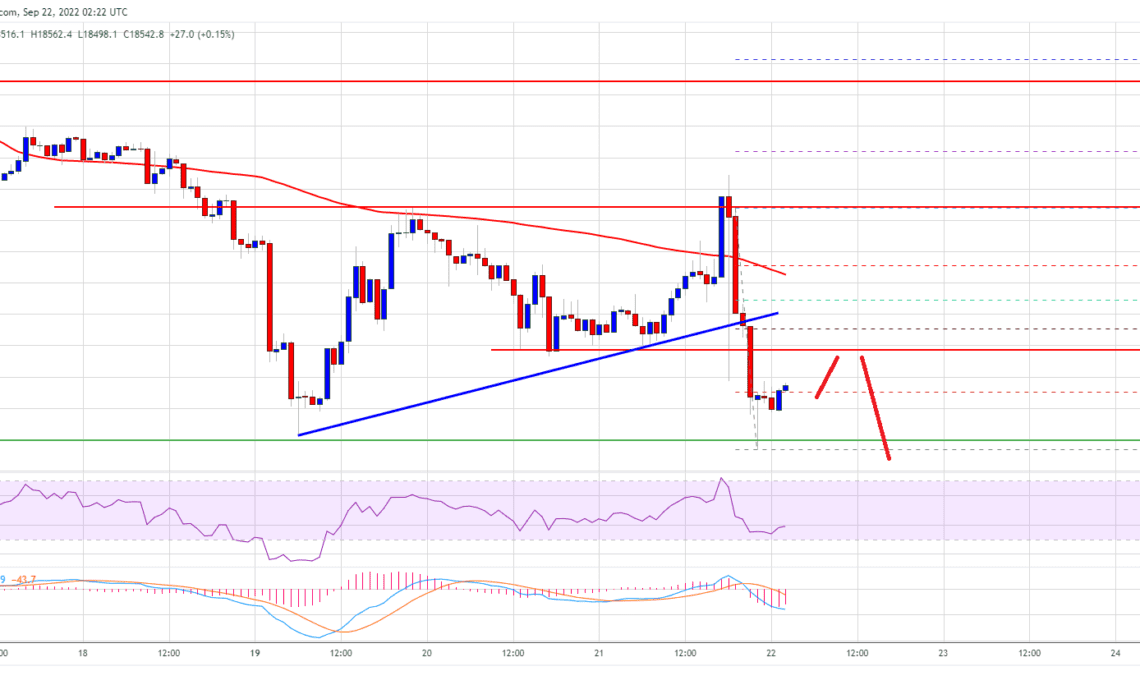 Bitcoin Price