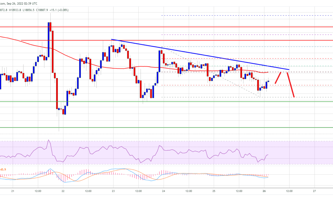 Bitcoin Price