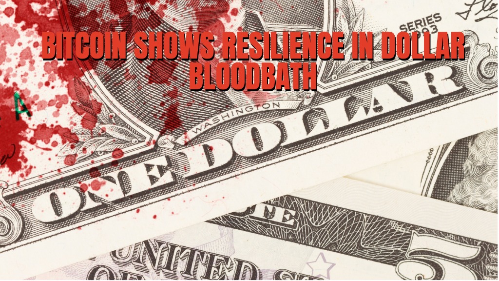 Bitcoin Price Shows Resilience In Dollar-Driven Bloodbath