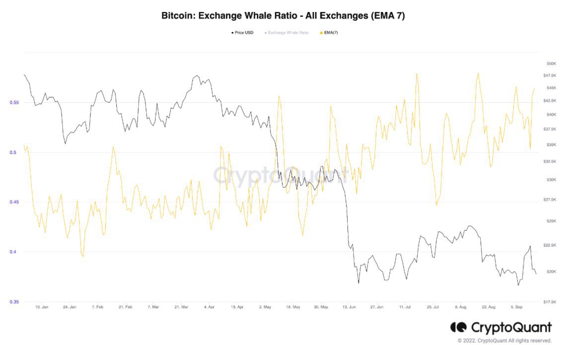 Bitcoin Exchange Whale Ratio