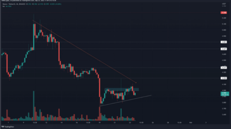 Can WAVES Flow Back From Its Low Ebb And Reclaim $4.6?