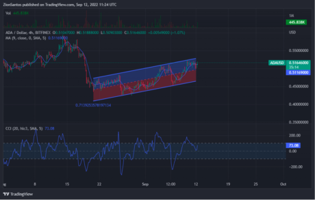 Cardano On White House Crosshair Can Push ADA Up This Route