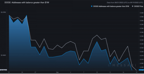 Dogecoin Surpasses Polkadot - Can DOGE Maintain Its Aggressiveness?