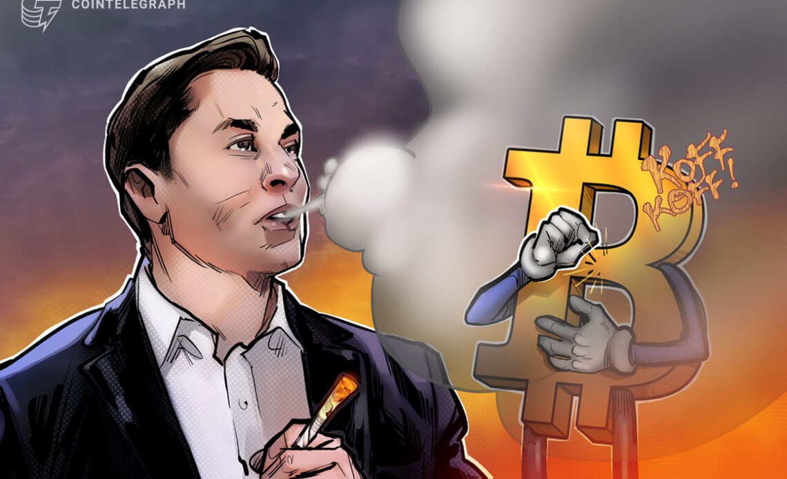 Elon Musk, Cathie Wood sound 'deflation' alarm — is Bitcoin at risk of falling below $14K?