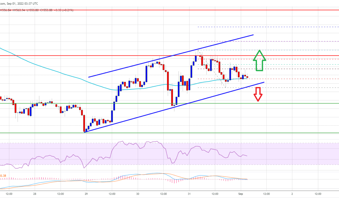 Ethereum Price